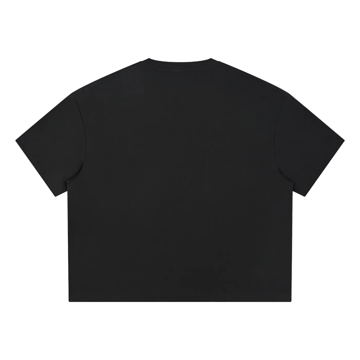INFAMOUS Abduction Big Tee